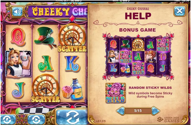 Cheeky Cheshire Bonus features