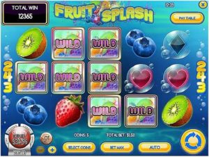 Fruit splash slot-Game Features
