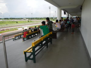 Horse Racing View