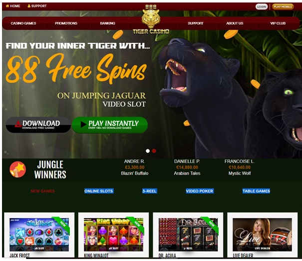 What is the special Slot Bonus at 888 Tiger casino